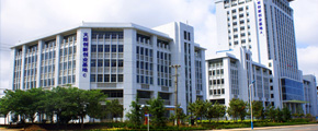 公司新聞