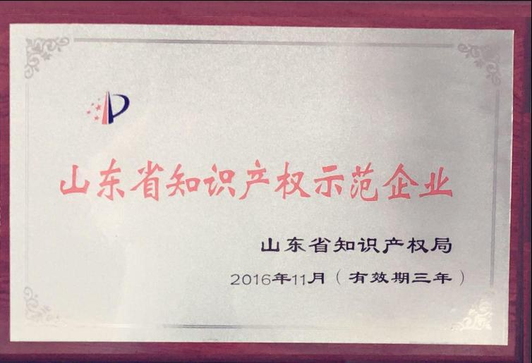 我公司被評為“山東省知識產權示范企業(yè)”